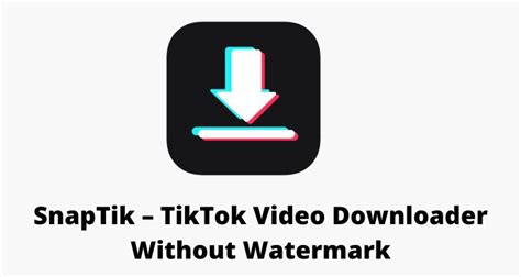 tiktok downloader without watermark.